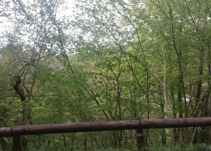 El Roblon De Cabuerniga 3* Renedo De Cabuerniga